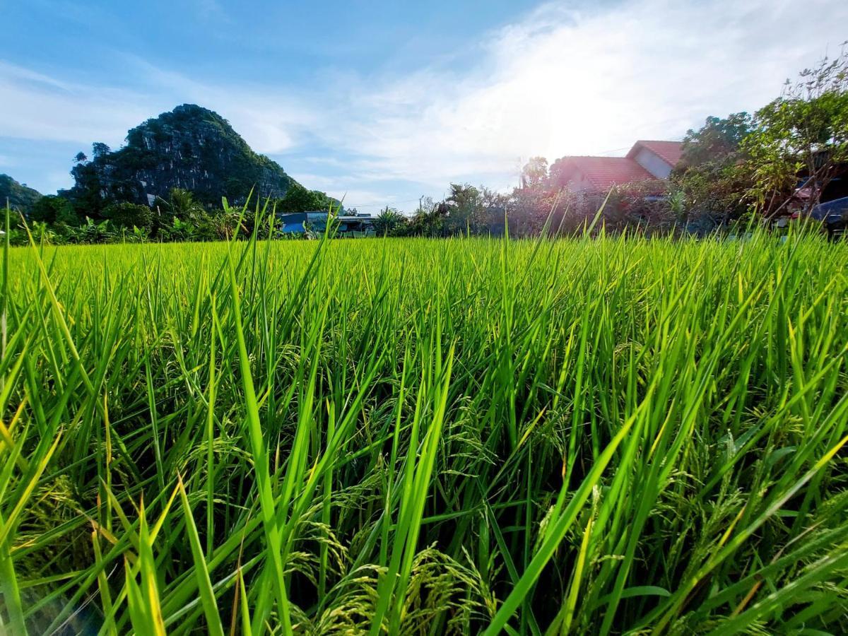 Ninh Binh Green Farmstay La Phu  Extérieur photo
