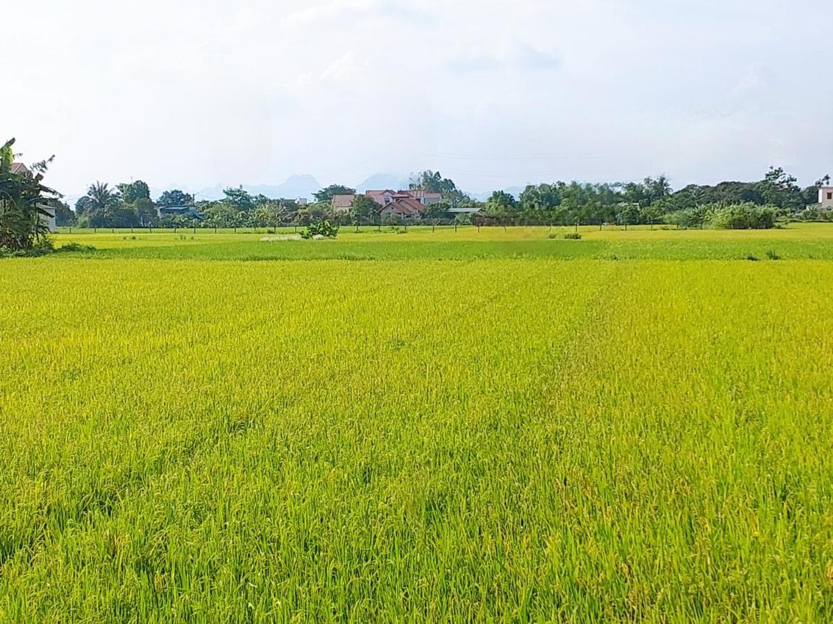 Ninh Binh Green Farmstay La Phu  Extérieur photo
