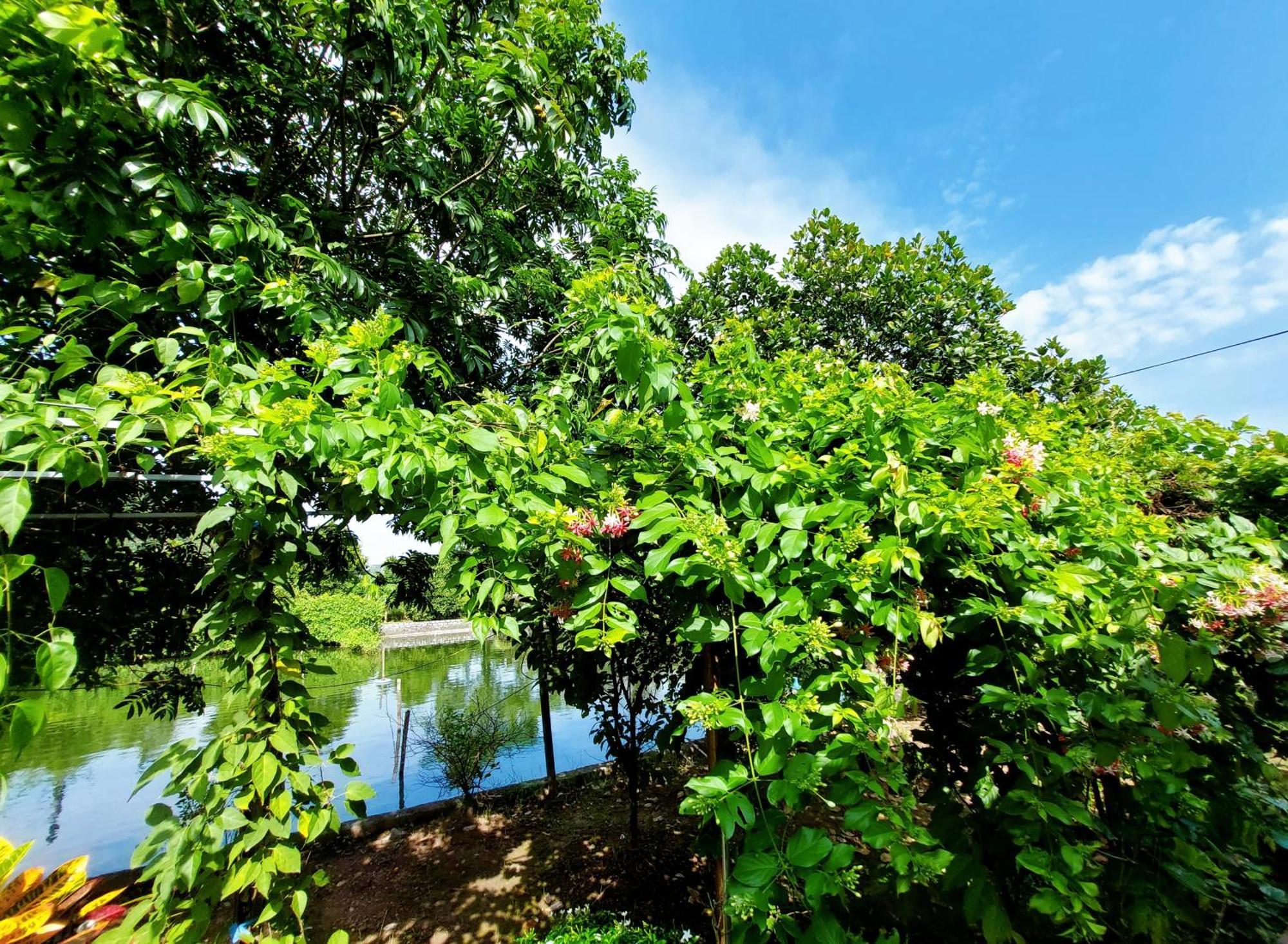 Ninh Binh Green Farmstay La Phu  Extérieur photo